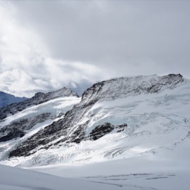 DSC_7762.jpg