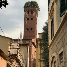 Cinque Terre 2019 (689).jpeg